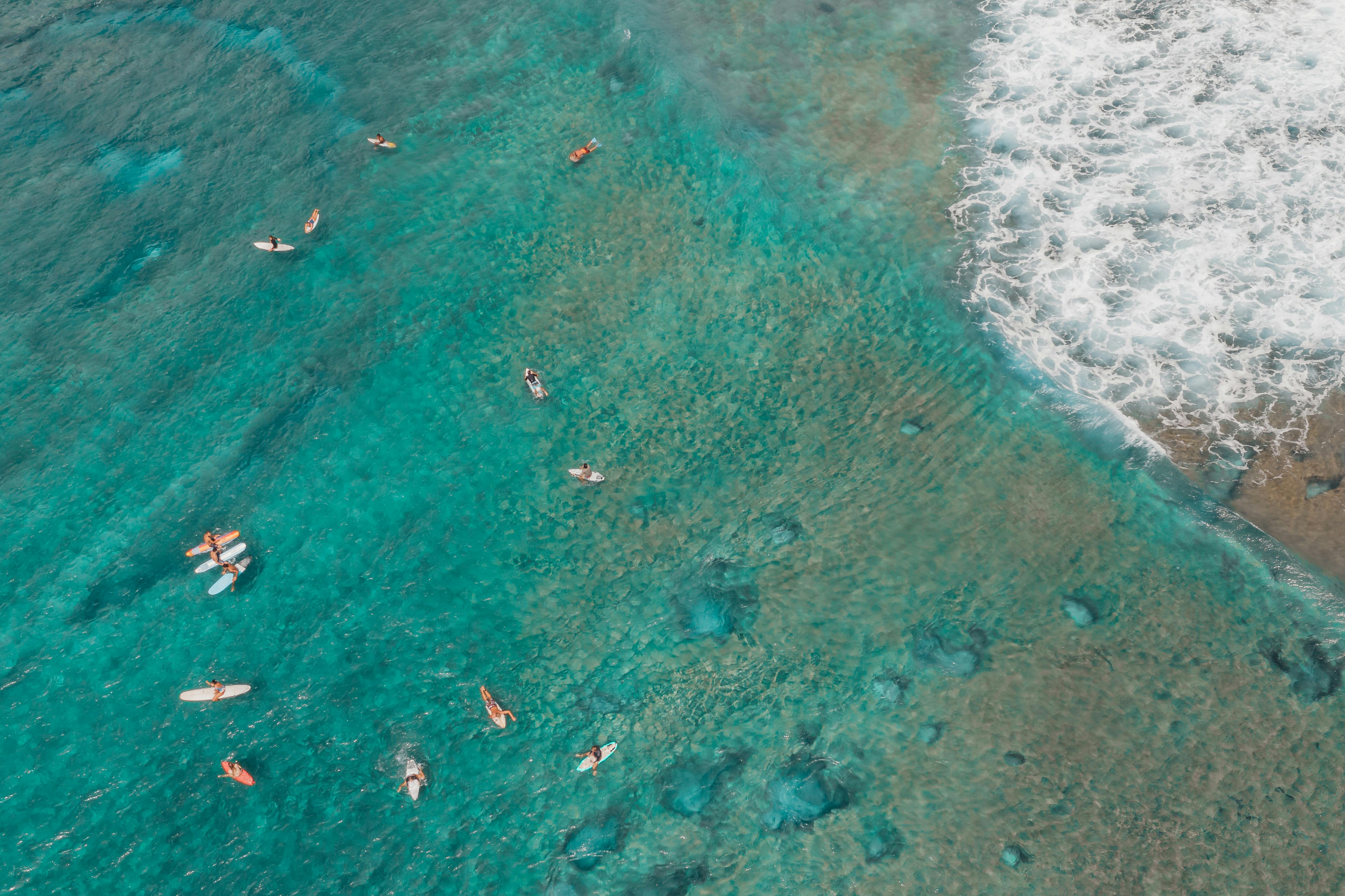 Private Surf Lesson