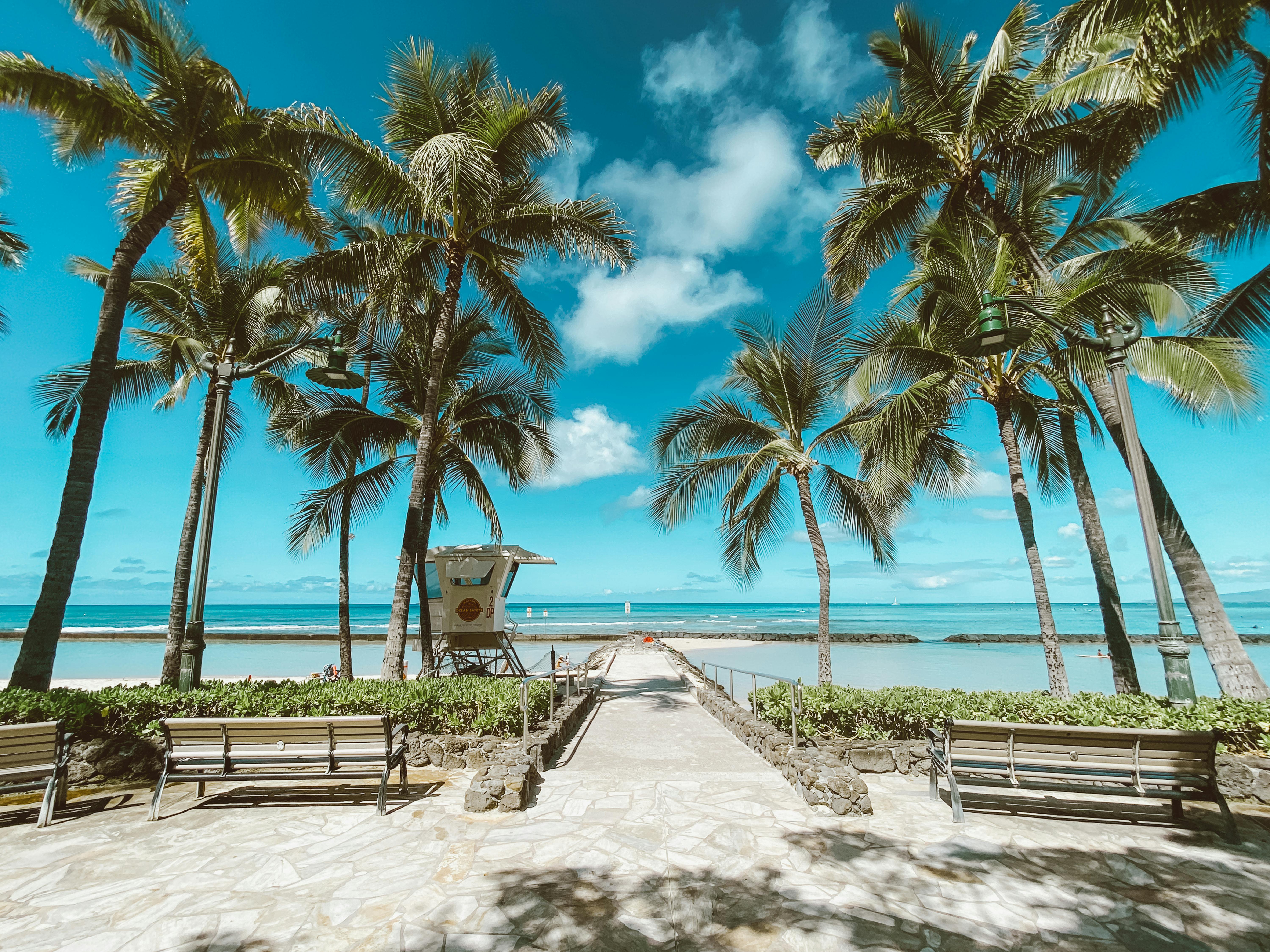 Waikiki Beach